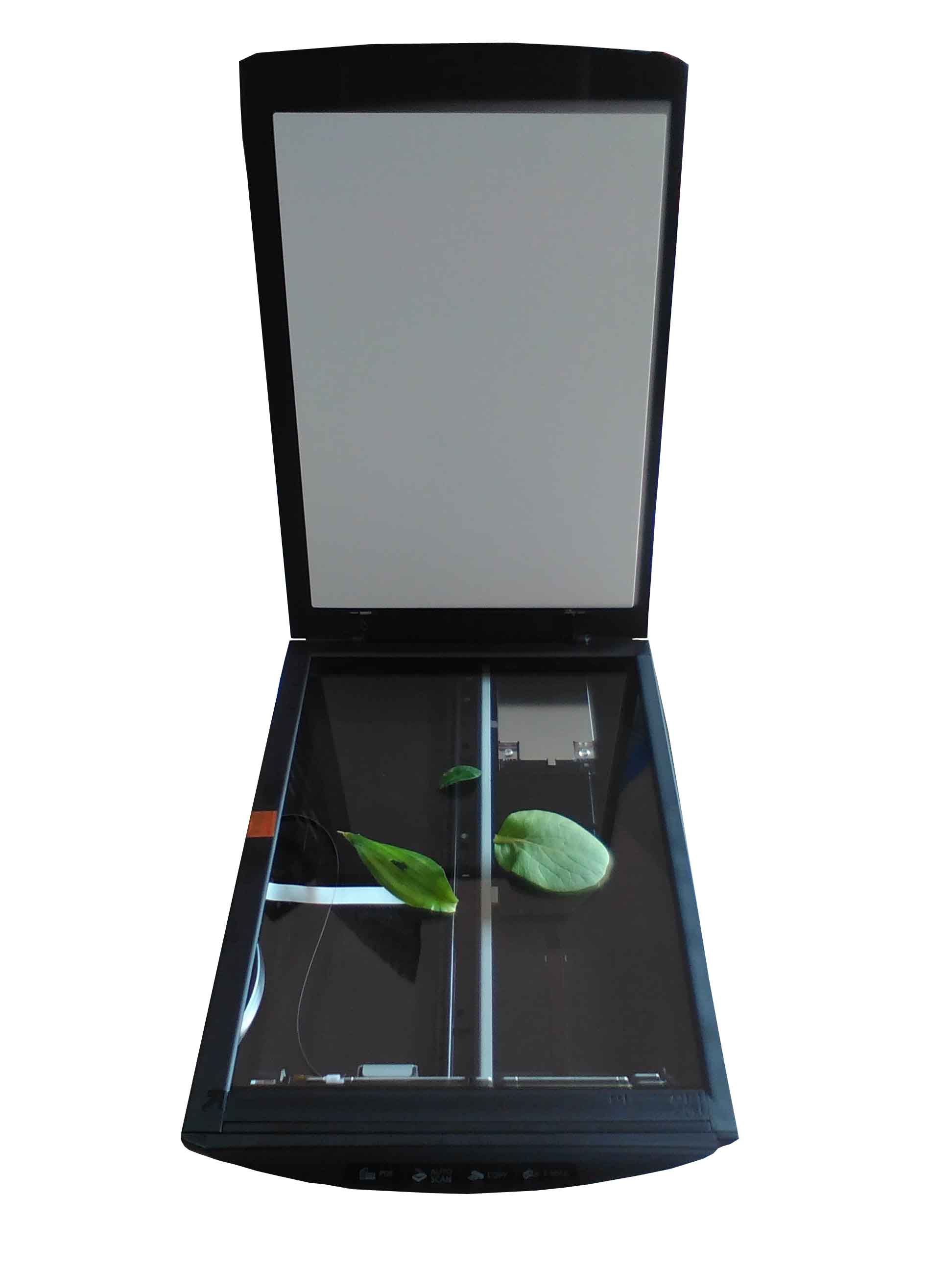 ���P䓹������B(y��ng)�� SGZϵ�ЏS�ҡ��Ϻ��p��