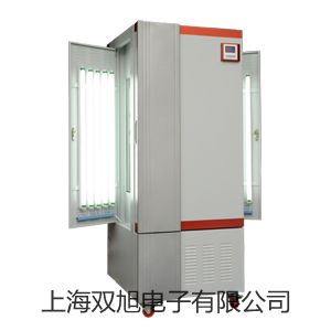 ���p���ơ���ʽ���tSX2-10-12NP�N(xi��o)��