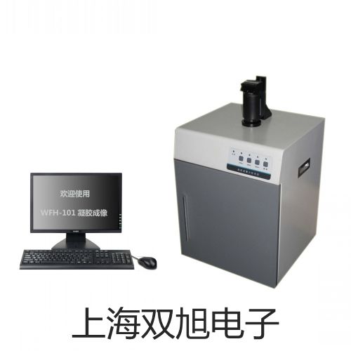 【雙旭牌】鎧裝鉑電阻WZPK-234S價格