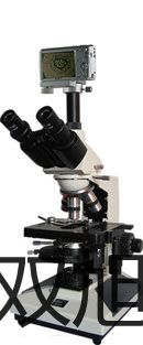 ���p���ơ���ʽ�������������YXQ-LS-100G����(y��ng)��