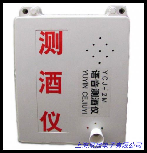 便攜式氣體檢測儀BW-M501USB上傳電腦接口 可燃?xì)怏w探測器