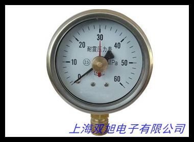 水處理設備專用防震耐震充油式壓力表 水壓表