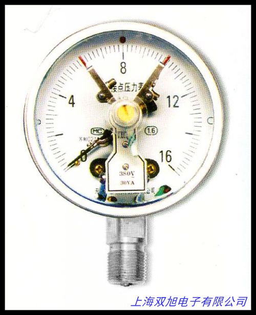 YTNXC-100ZT�S��߅����늽��c(di��n)������0-40MPA��������͉���