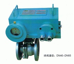 植物營養(yǎng)測定儀TYS-3N