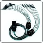 P6516 ߉݋̽�^ �r(ji��)�� ���a(ch��n)�S��